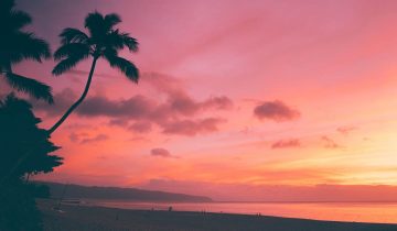 Aloha es más que un saludo